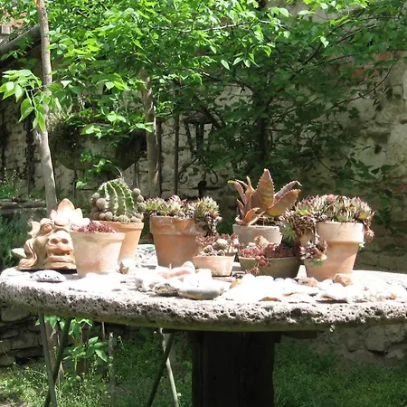 Maison d'hôtes Rozmaringos Udvarhaz