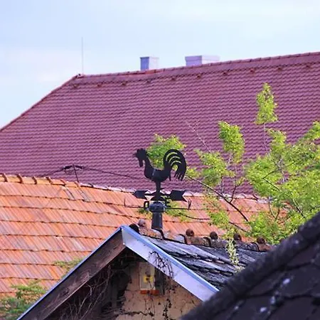 Rozmaringos Udvarhaz 2*