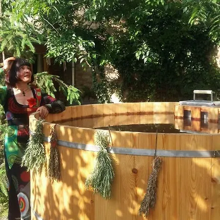 Rozmaringos Udvarhaz Dunafoldvar